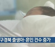 대구·경북 출생아·혼인 건수 증가