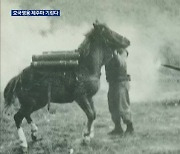 호국영웅 ‘레클리스’…“제주마 업적 기린다”