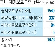 이제 ‘막 잡으면’ 안 돼요…정부, 해양보호구역 내 일반인 ‘해루질’ 금지 추진