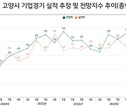 고양시 경기전망 어두워…기업경기전망지수 75P로 조사돼