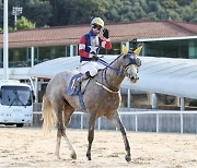 제20회 농협중앙회장배, ‘캡틴피케이’ 2세 신인왕에 한걸음 다가서