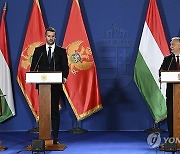 HUNGARY MONTENEGRO DIPLOMACY