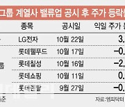 밸류업 공시 효과 극과극…LG 웃고, 롯데 울었다