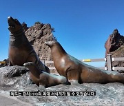 이시영, 서경덕 교수와 '독도의 날' 맞이 독도 강치 영상 제작 "독도를 기억해 주세요"