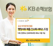 KB손해보험, '행정서류 제출 간소화 서비스' 도입