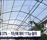 레드향 열과율 37%.. 지난해 대비 11%p  높아