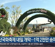 마산국화축제 내일 개막…1억 2천만 송이 전시