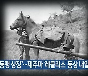 “한미동맹 상징”…제주마 ‘레클리스’ 동상 내일 제막