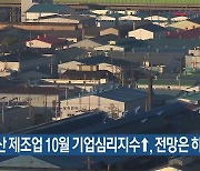 부산 제조업 10월 기업심리지수↑, 전망은 하락