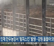 인제 한우농장서 ‘럼피스킨’ 발생…강원 올들어 5번째