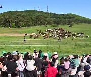 ‘천고마비의 계절’ 가을…“제주 말 문화 알려요”