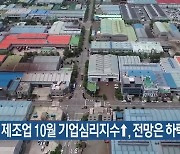 부산 제조업 10월 기업심리지수↑, 전망은 하락