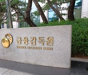 [단독] 보험사 '실적 부풀리기' 논란에…IFRS17 '대수술'