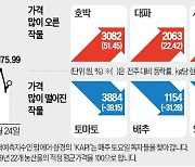 "포장김치 사 먹을래"…김장 재료값 상승에 '김포족' 늘었다