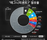 매그니피센트7 점유율 어디까지 왔을까 [레버리지셰어즈 인포그래픽]