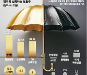 “찬바람 불길래 믿고 사놨는데”…오를 놈은 따로 있다는 보험주