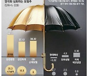 빠듯해지는 곳간 … 보험주 배당양극화 심화