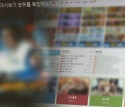 K-콘텐츠 위협하는 불법 공유 사이트…단속 '골머리'