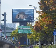 광주시, '독도의 날' 실시간 독도 영상 송출