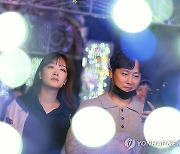 빛으로 물든 석촌호수, 송파 루미나리에 축제 개막