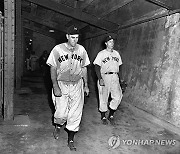 Yankees Dodgers History Baseball