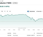 엔비디아 0.80% 상승, 반도체지수도 1.07%↑(종합)