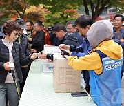 10월 마지막 주말…오색 커튼 펼쳐진 강원 '가을손님' 북적