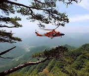 '추락·실족·낙상'…가을 손님 몰린 강원서 산악사고 속출