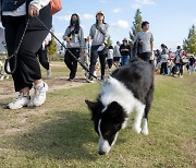 2500명 양산에…양산시 반려동물 문화축제 성황