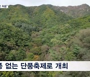 "이런 가을은 처음"…10월의 끝자락인데 '초록 단풍'