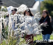 주말 전북 아침 곳곳 안개…낮 23~25도 '맑다 흐림'