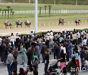 제주도지사배 경주마 대상경주