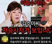 "저승사자 보여"…김수미 영상 올린 무속인 유튜버 비난 폭주