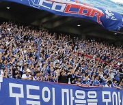 프로축구 K리그, 2년 연속 유료 관중 '300만 명 돌파'