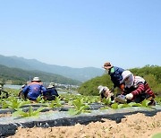 태백시, 내년 외국인 계절근로자 농가 신청 63% 증가