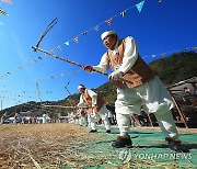 알곡 타작 재연하는 하추리 주민들