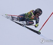 Austria Alpine Skiing World Cup