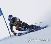 Austria Alpine Skiing World Cup