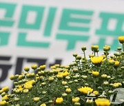 진보당, 대구 거리에서 '대통령 퇴진' 찬반 묻는 투표 시작