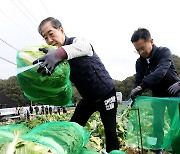 배추 수확 작업하는  한덕수 국무총리