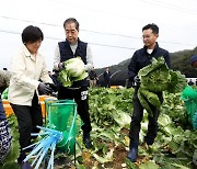 배추 수확하는 한덕수 국무총리