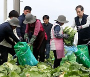 배추 수확 현장 찾은 한덕수 국무총리와 송미령 농식품부 장관