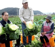 수확한 배추 살펴보는 한덕수 국무총리