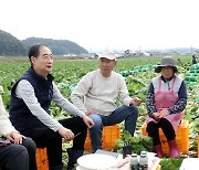 배추 수확 현장 방문한 한덕수 국무총리