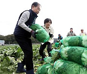 배추 수확하는 한덕수 국무총리와 송미령 농식품부 장관