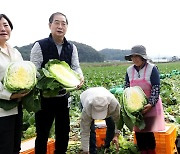 배추 수확 현장 방문한 한덕수 국무총리