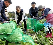 배추 수확 작업하는  한덕수 국무총리