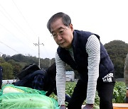 배추 수확하는 한덕수 국무총리