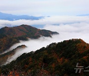 가을 단풍과 운해