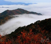 박달고치 전망대서 본 절경